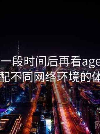 连续使用一段时间后再看age动漫网官网：适配不同网络环境的体验差异