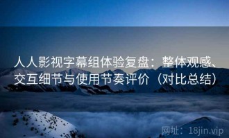 人人影视字幕组体验复盘：整体观感、交互细节与使用节奏评价（对比总结）