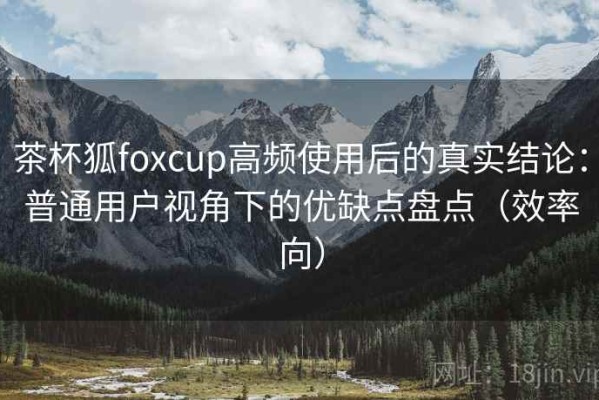 茶杯狐foxcup高频使用后的真实结论：普通用户视角下的优缺点盘点（效率向）