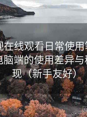 可可影视在线观看日常使用笔记：在手机与电脑端的使用差异与稳定性表现（新手友好）