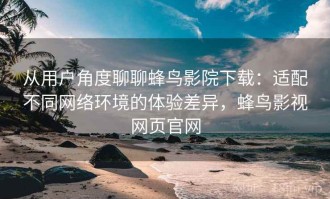 从用户角度聊聊蜂鸟影院下载：适配不同网络环境的体验差异，蜂鸟影视网页官网