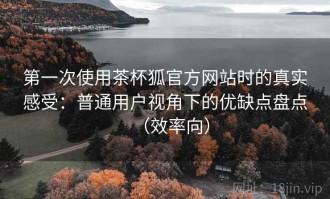 第一次使用茶杯狐官方网站时的真实感受：普通用户视角下的优缺点盘点（效率向）