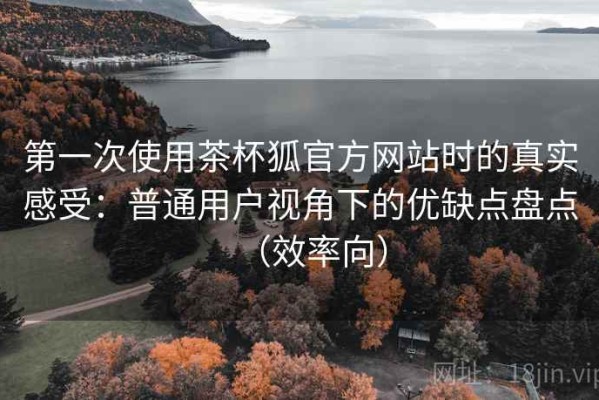 第一次使用茶杯狐官方网站时的真实感受：普通用户视角下的优缺点盘点（效率向）