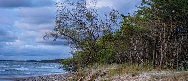 age动漫官网首页到底适不适合长期用？入口路径、导航逻辑与找内容效率评估