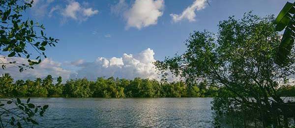 age动漫官网首页到底适不适合长期用？入口路径、导航逻辑与找内容效率评估