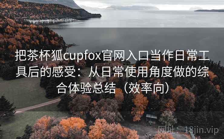 把茶杯狐cupfox官网入口当作日常工具后的感受：从日常使用角度做的综合体验总结（效率向）