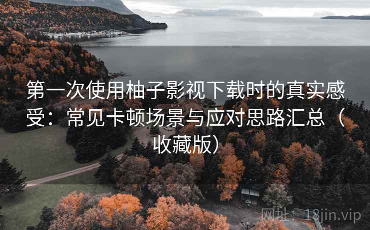 第一次使用柚子影视下载时的真实感受：常见卡顿场景与应对思路汇总（收藏版）