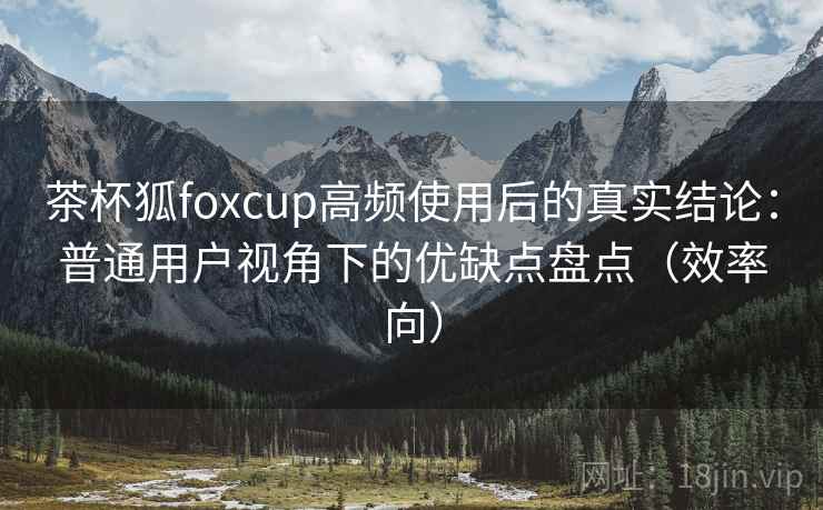 茶杯狐foxcup高频使用后的真实结论：普通用户视角下的优缺点盘点（效率向）